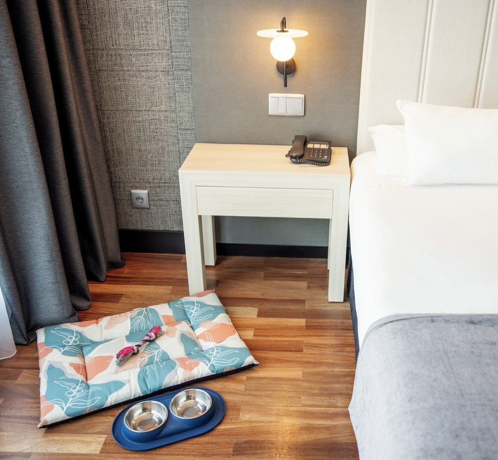 Habitación doble, mascotas del hotel Ilunion Alcala Norte