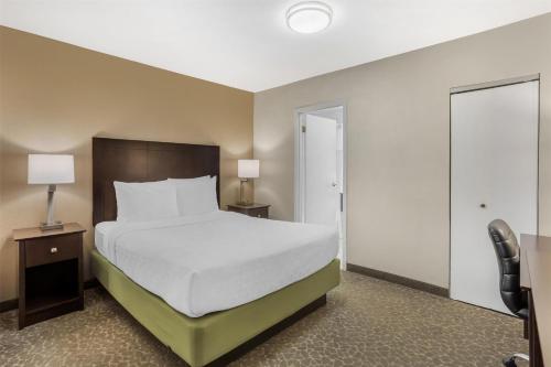 Suite Doble con sofá cama - No fumadores - Cama grande del hotel Best Western Fort Lee