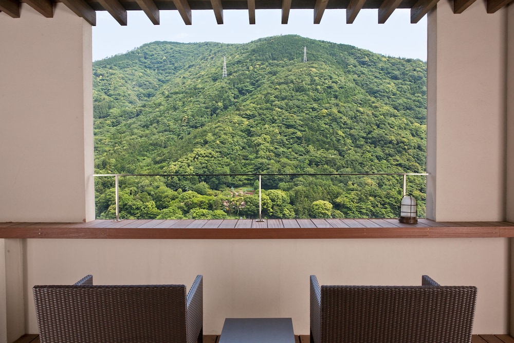 Suite, no fumadores (JP Western,Open - air Bath Only13yrsABV) del hotel Aura Tachibana. Foto 5