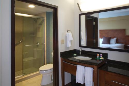 Habitación con cama grande, sofá cama y ducha accesible en silla de ruedas - Adaptada para personas con discapacidad del hotel Hyatt Place Long Island East End. Foto 1