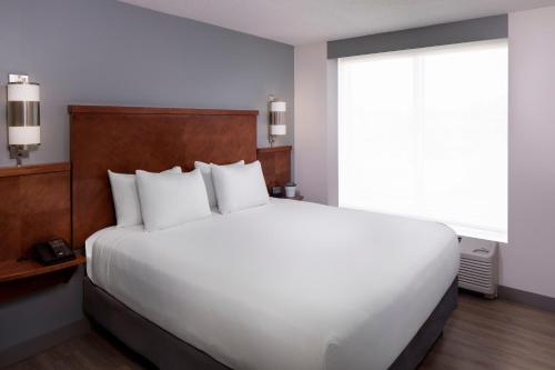 Habitación con cama grande, sofá cama y ducha accesible en silla de ruedas - Adaptada para personas con discapacidad del hotel Hyatt Place Long Island East End. Foto 2