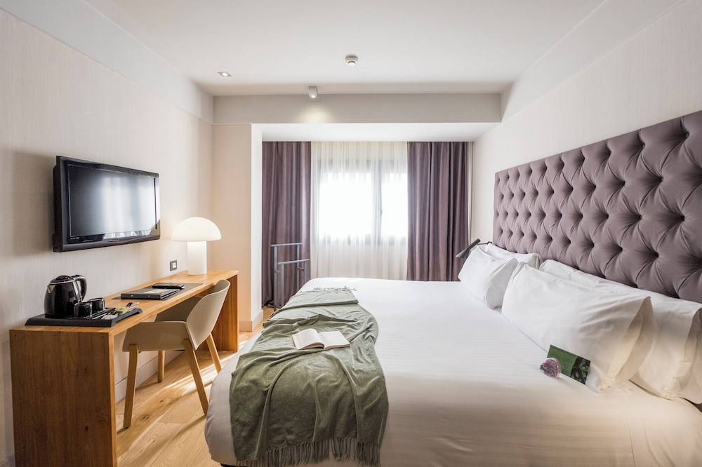 Habitación estándar con 1 cama doble o 2 individuales del hotel Zenit Abeba
