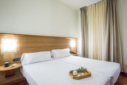 Habitación Doble Económica - 1 o 2 camas del hotel Negresco Gran Vía. Foto 4