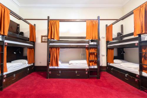 Cama en habitación compartida femenina de 8 camas del hotel Palmers Lodge Swiss Cottage - Hostel. Foto 2