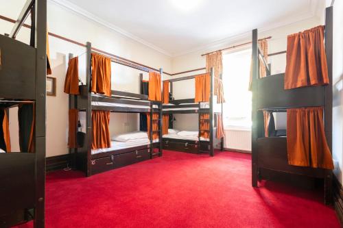 Cama en habitación compartida femenina de 8 camas del hotel Palmers Lodge Swiss Cottage - Hostel. Foto 4