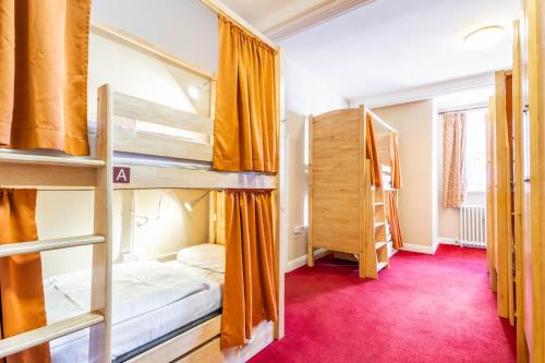 Cama en habitación compartida Premier femenina con 12 camas del hotel Palmers Lodge Swiss Cottage - Hostel. Foto 1