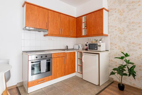 Apartamento de 1 dormitorio del hotel Nova Apartments. Foto 36