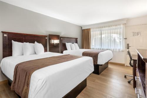 Habitación Doble - 2 camas dobles del hotel Best Western Bar Harbour Inn. Foto 2