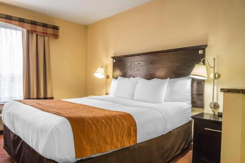 Suite con cama extragrande del hotel Comfort Inn & Suites LaGuardia Airport