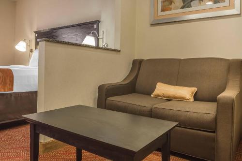 Suite con cama extragrande del hotel Comfort Inn & Suites LaGuardia Airport. Foto 2
