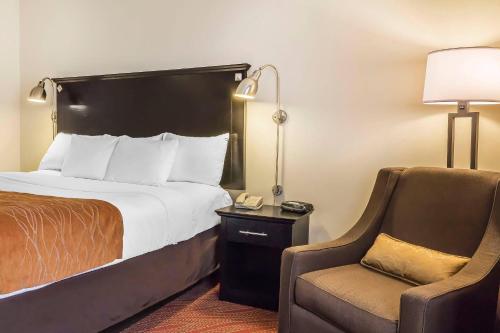 Habitación con cama extragrande - Adaptada para personas de movilidad reducida del hotel Comfort Inn & Suites LaGuardia Airport. Foto 7