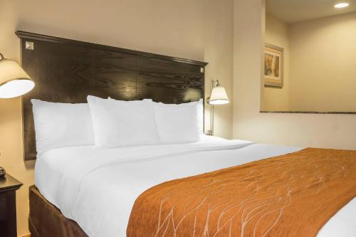 Suite con cama extragrande del hotel Comfort Inn & Suites LaGuardia Airport. Foto 3