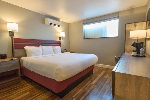 Habitación accesible en silla de ruedas - Cama extragrande - Sótano del hotel The Lodge Red Hook. Foto 1