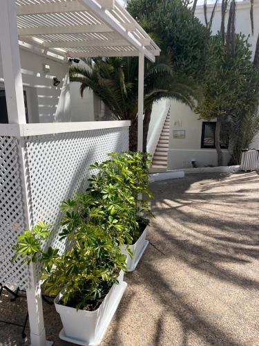 Estudio 1 Cama doble del hotel Punta Elena Beach THe. Foto 1