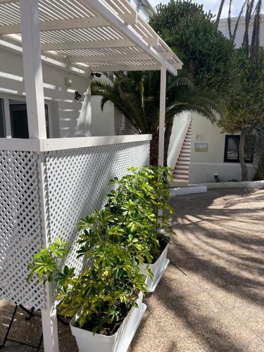 Estudio 1 Cama doble del hotel Punta Elena Beach THe. Foto 3