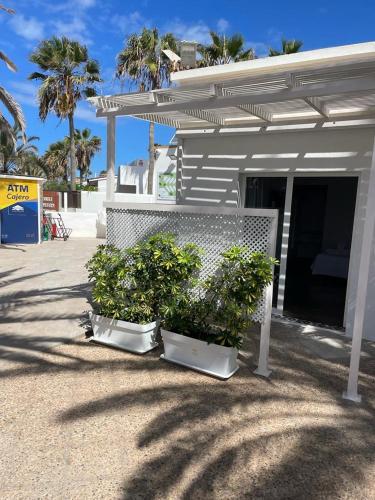 Estudio 1 Cama doble del hotel Punta Elena Beach THe. Foto 5