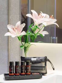 Doble Lujo Vista Atrio del hotel H10 Art Gallery