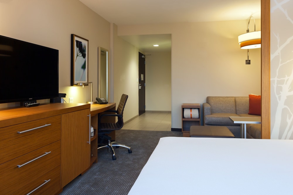 Cama King (con sofá - cama) del hotel Hyatt Place Chicago/river North. Foto 1
