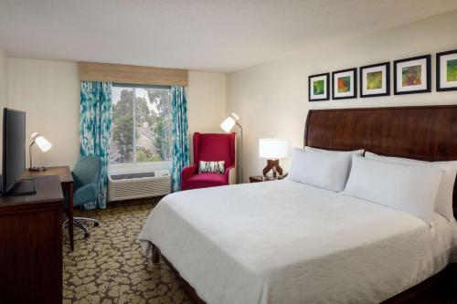Suite de 1 dormitorio con sofá cama - Cama extragrande del hotel Hilton Garden Inn Arcadia/pasadena Area. Foto 3