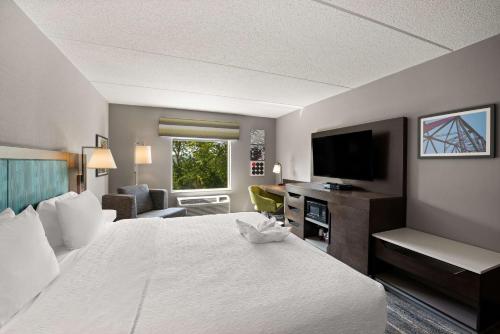 Habitación con cama extragrande y ducha - No fumadores del hotel Hampton Inn and Suites Poughkeepsie. Foto 8