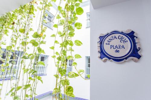 Apartamento Estándar de 1 dormitorio del hotel Apartamentos Suites Santa Cruz. Foto 4