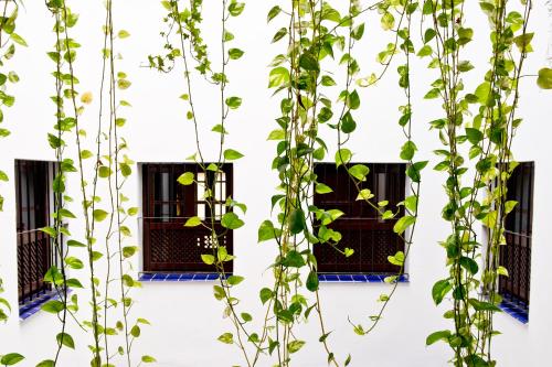 Apartamento Estándar de 1 dormitorio del hotel Apartamentos Suites Santa Cruz. Foto 9