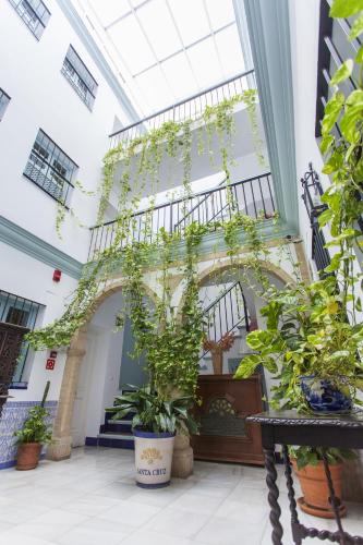 Apartamento - Planta baja del hotel Apartamentos Suites Santa Cruz. Foto 2