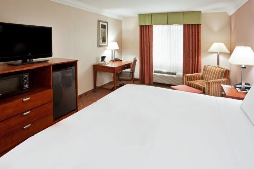 Habitación Doble Estándar con cama grande y sofá cama del hotel Holiday Inn Express Hotel And Suites Niagara Falls. Foto 5