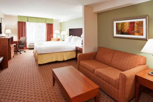 Habitación Doble Estándar con cama grande y sofá cama del hotel Holiday Inn Express Hotel And Suites Niagara Falls. Foto 5