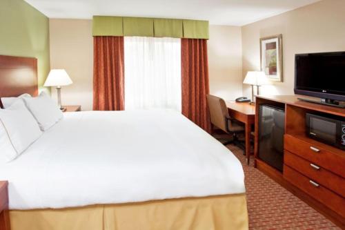Habitación Doble Estándar con cama grande y sofá cama del hotel Holiday Inn Express Hotel And Suites Niagara Falls. Foto 6