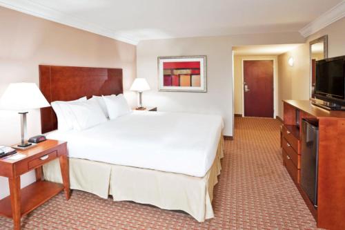 Habitación Estándar - Cama extragrande del hotel Holiday Inn Express Hotel And Suites Niagara Falls. Foto 4