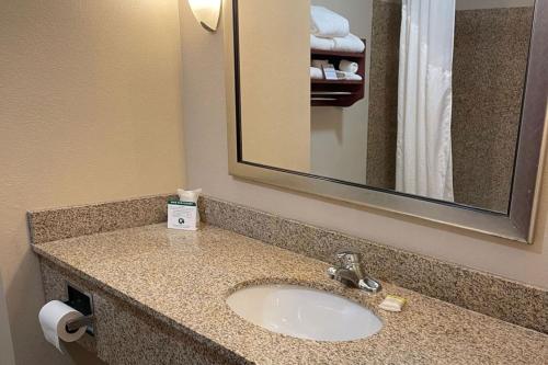 Habitación Estándar - Cama extragrande del hotel Holiday Inn Express Hotel And Suites Niagara Falls. Foto 7