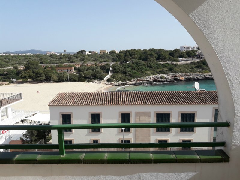 Apartamento 1 habitación Económica del hotel Aparhotel Pierre and Vacances Mallorca Cecilia. Foto 2