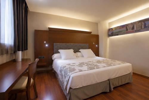 Habitación triple Vista ciudad Sofá Cama incluido 1 Cama doble del hotel Sancho Abarca. Foto 1