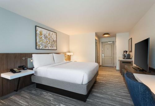 Habitación - 1 cama extragrande - No fumadores del hotel Hilton Garden Inn Melville. Foto 3