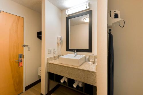 Habitación Prémium con 2 camas dobles, ropa de cama de categoría superior y caja de aperitivos - No fumadores del hotel Red Roof Inn Garden City - Long Island. Foto 5