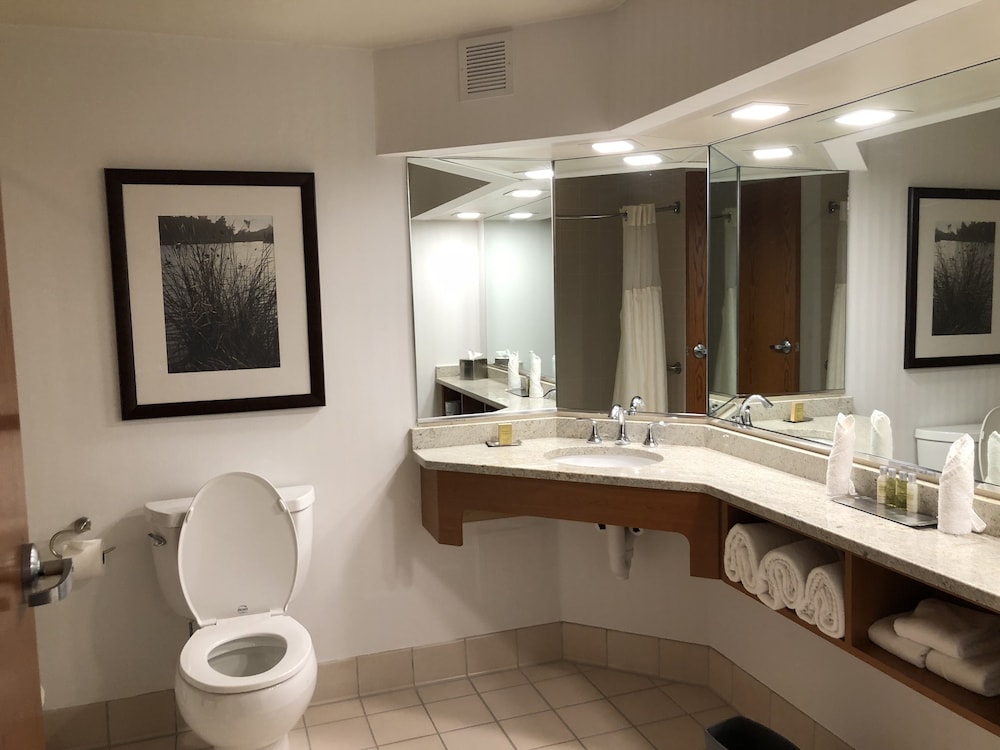 Suite, 1 cama de matrimonio grande, accesible para personas con discapacidad, no fumadores del hotel Wyndham Garden Buffalo Downtown. Foto 3