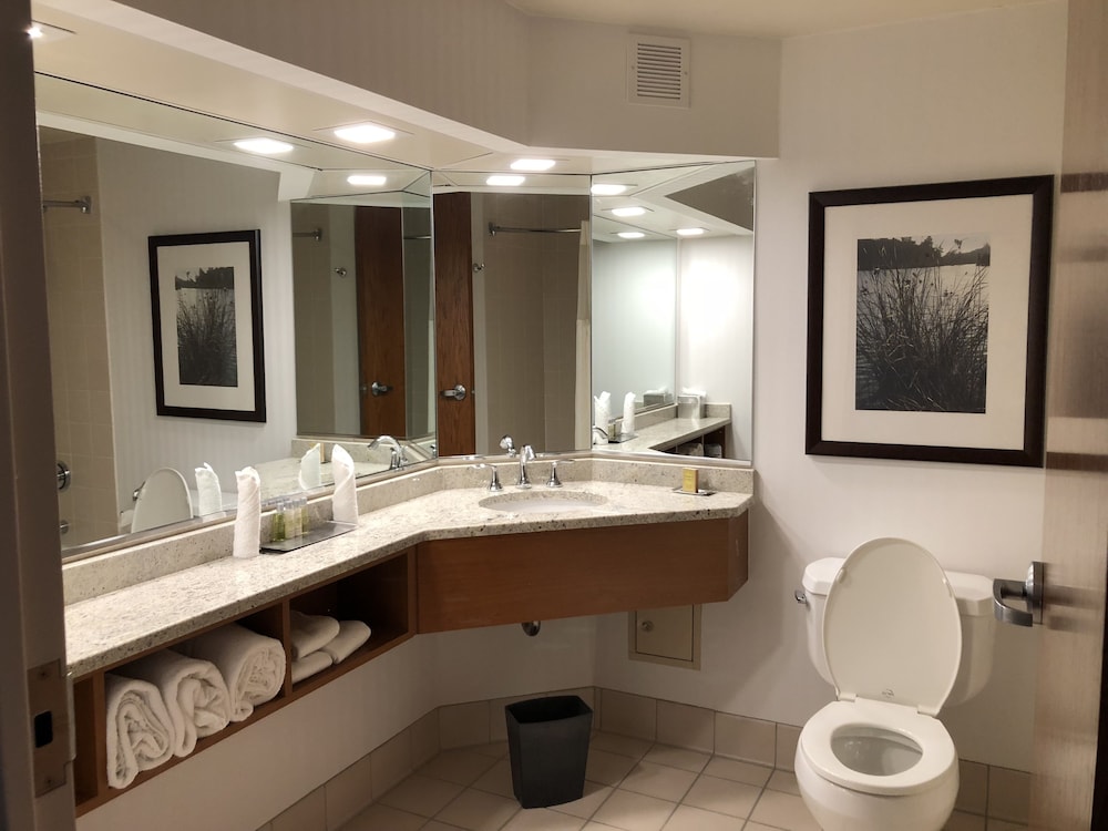 Habitación Deluxe, 2 camas de matrimonio, no fumadores del hotel Wyndham Garden Buffalo Downtown. Foto 3