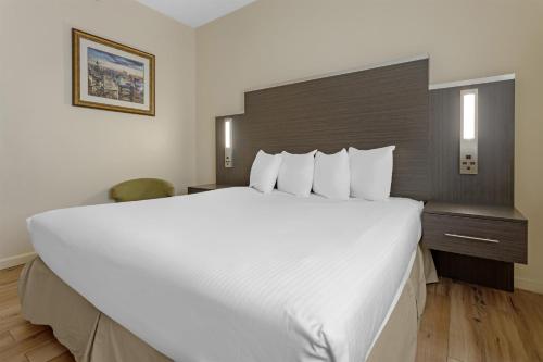 Habitación con cama extragrande y ducha a ras de suelo - Adaptada para personas con movilidad reducida del hotel Best Western Jamaica Inn. Foto 1