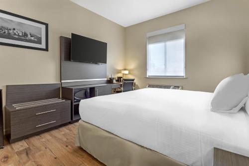 Habitación con cama extragrande. del hotel Best Western Jamaica Inn. Foto 2