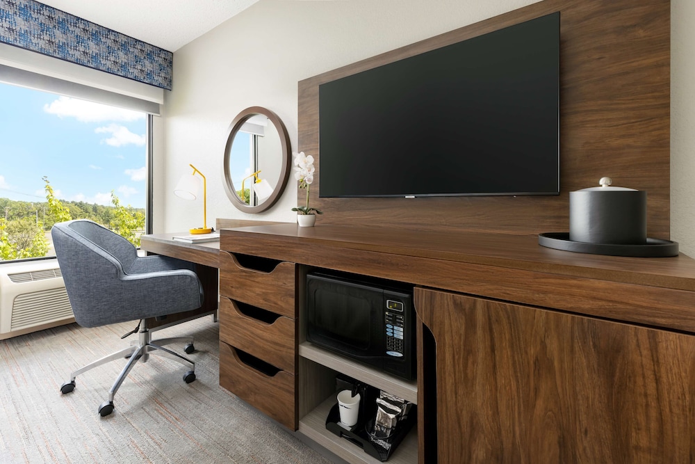 1 Cama Queen, Accesible (Movilidad/Auditiva), Bañera, No fumadores del hotel Hampton Inn Long Island/islandia. Foto 1