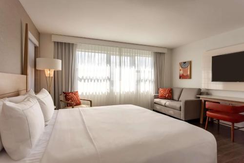 Habitación Doble Esquinera con vistas a la ciudad - Cama extragrande del hotel Hilton Cabana Miami Beach. Foto 4