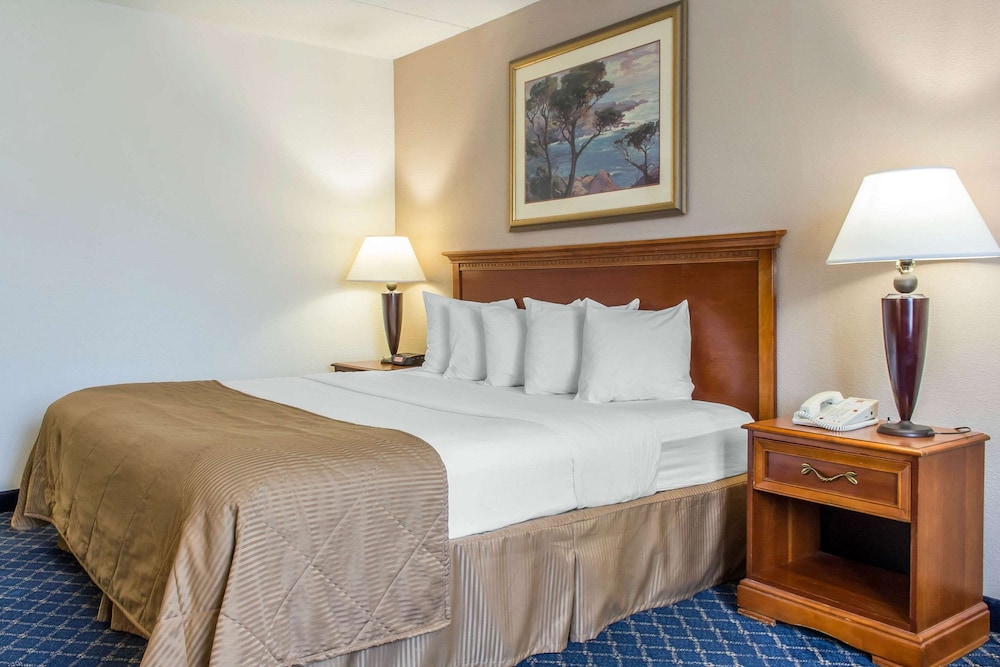 Habitación, 1 cama de matrimonio grande, accesible para personas con discapacidad, no fumadores del hotel Clarion Hotel and Conference Center. Foto 1