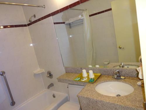 Habitación con cama grande del hotel Flushing Hotel. Foto 3