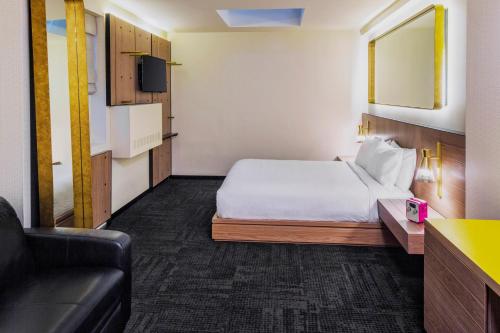 Habitación adaptada para personas con movilidad reducida - Cama grande del hotel Shocard New York. Foto 3