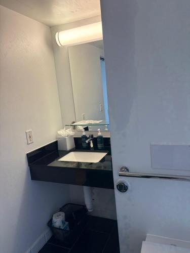 King Suite with Sofa Bed and Skyline View - High Floor del hotel Four Points by Sheraton Manhattan SoHo Village. Foto 2