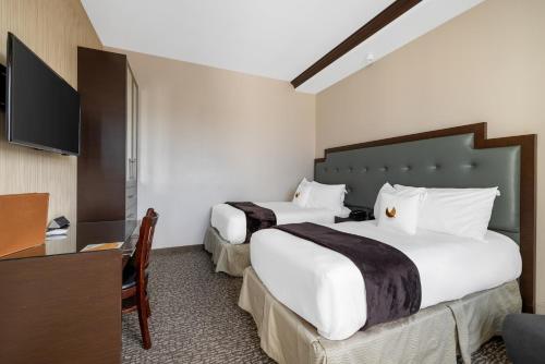 Suite Doble con 1 dormitorio - 2 camas - No fumadores del hotel Condor Hotel Brooklyn. Foto 5