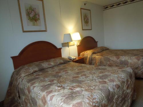 Habitación Doble - No fumadores del hotel Red Carpet Inn Brooklyn. Foto 1