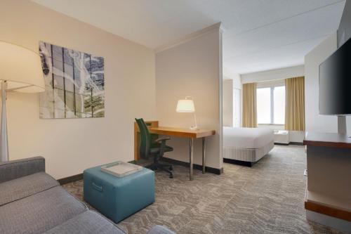 King Suite with Bathtub, Transfer Shower and Sofa Bed - Mobility Access/Hearing Accessible del hotel SpringHill Suites Newark International Airport