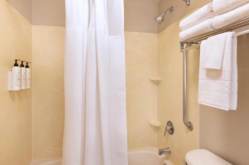 King Suite with Roll - In Shower and Sofa Bed - Mobility Access/Hearing Accessible del hotel SpringHill Suites Newark International Airport. Foto 6